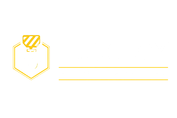 Lucky Hoist Services Logo